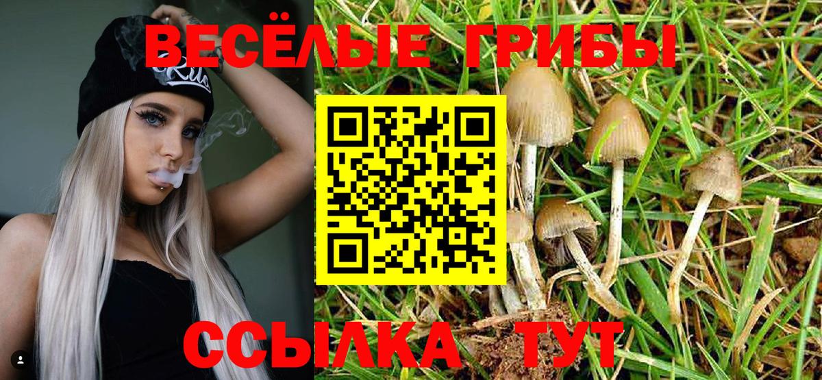 купить   Галлюциногенные грибы прущие грибы  Вход с VPN  Майский 