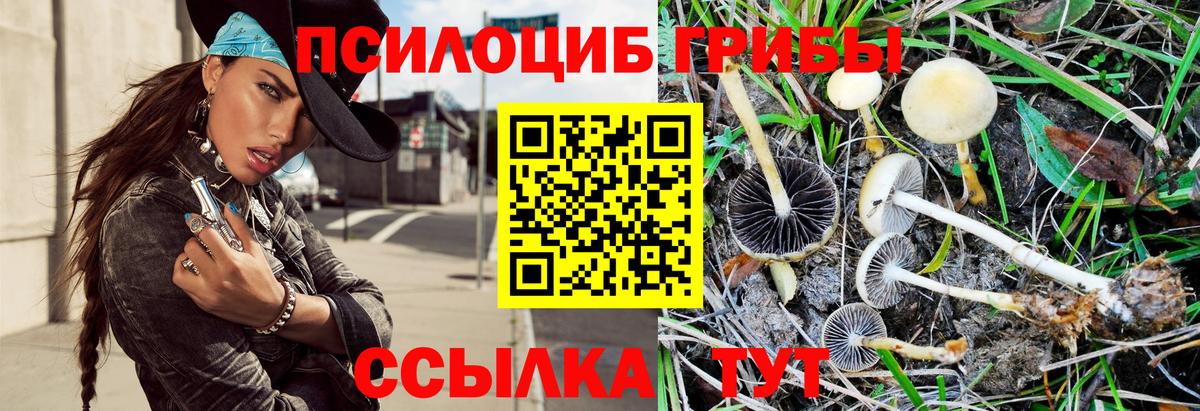 Псилоцибиновые грибы ЛСД Майский