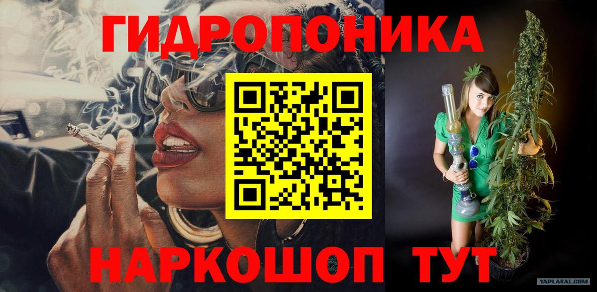 Канабис MAZAR Майский